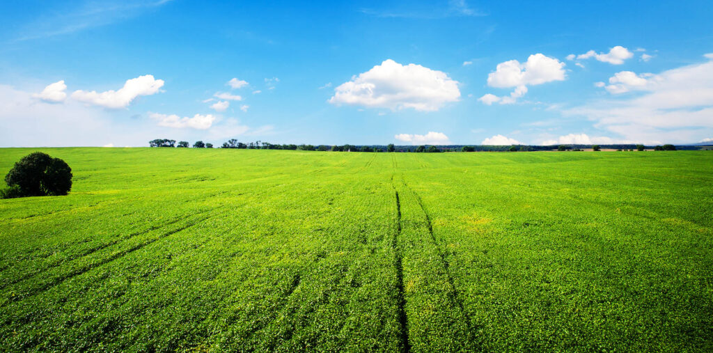 Ace Mashariki Properties - VALUATION ASSESSMENT & APPRAISAL OF LAND & PROPERTY